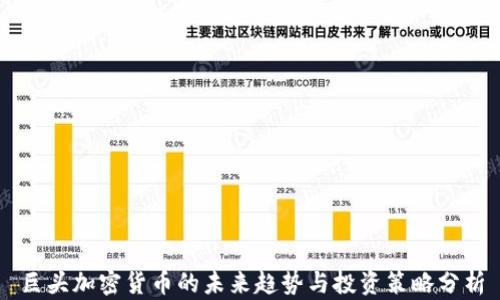 
巨头加密货币的未来趋势与投资策略分析