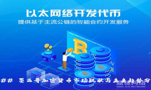 ### 墨西哥加密货币市场现状与未来趋势分析