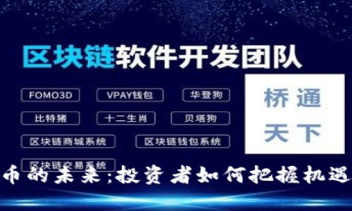 加密货币的未来：投资者如何把握机遇与风险
