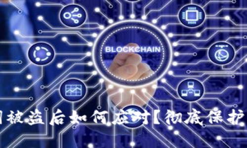 TP钱包助记词被盗后如何应对？彻底保护你的数字资产