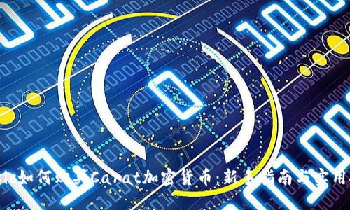 biasic如何购买Carat加密货币：新手指南与实用技巧