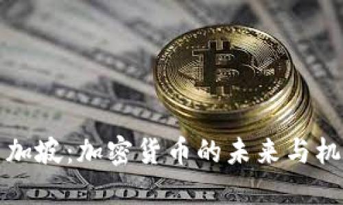 新加坡：加密货币的未来与机遇
