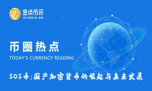 SOS币：国产加密货币的崛起与未来发展