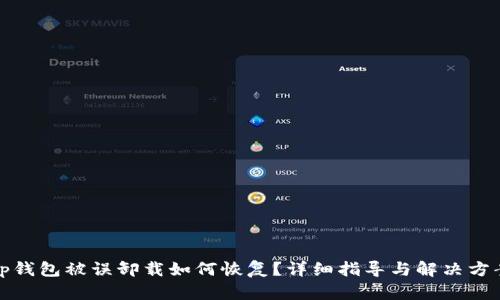 tp钱包被误卸载如何恢复？详细指导与解决方案
