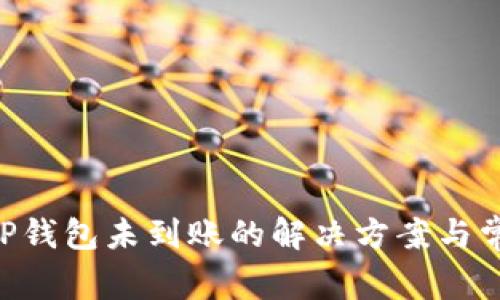 ASS提币到TP钱包未到账的解决方案与常见问题解析