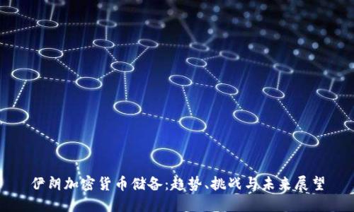 伊朗加密货币储备：趋势、挑战与未来展望