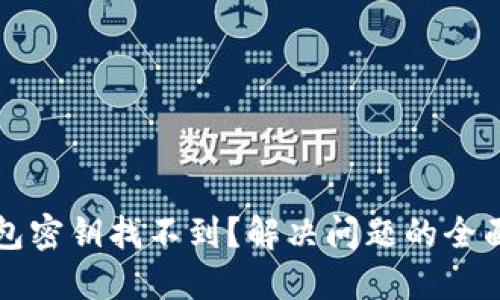 TP钱包密钥找不到？解决问题的全面指南