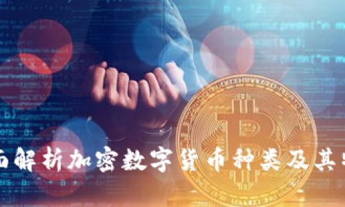 全面解析加密数字货币种类及其特点