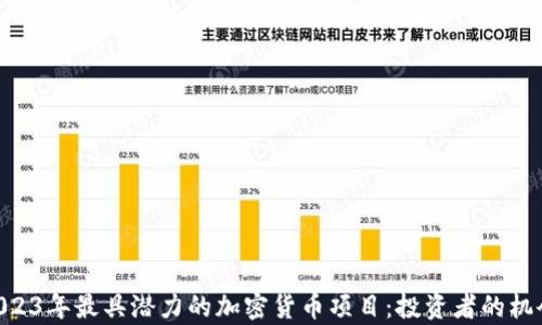 
piaoti2023年最具潜力的加密货币项目：投资者的机会与挑战