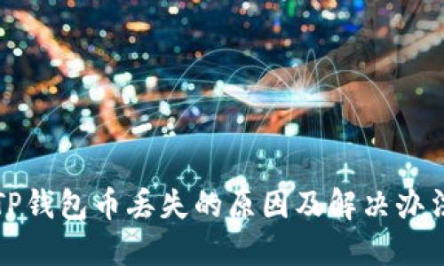 TP钱包币丢失的原因及解决办法