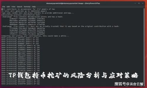 TP钱包持币挖矿的风险分析与应对策略