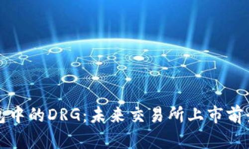 TP钱包中的DRG：未来交易所上市前景分析