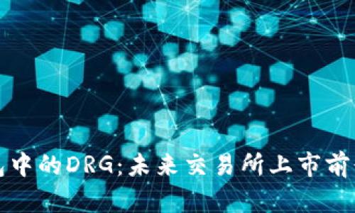 TP钱包中的DRG：未来交易所上市前景分析