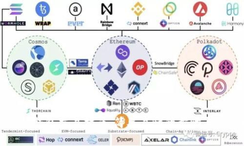 波场链TP钱包交易指南：简单易懂的步骤与实用技巧