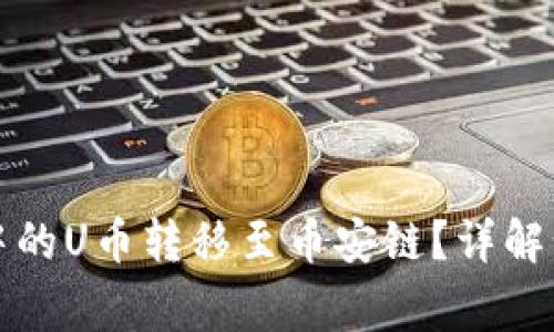 如何将TP钱包中的U币转移至币安链？详解步骤与注意事项