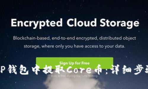 如何在TP钱包中提取Core币：详细步骤与指南