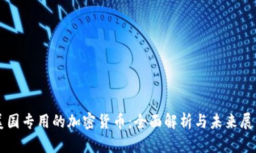 美国专用的加密货币：全面解析与未来展望