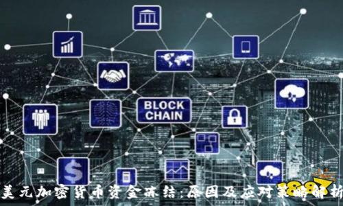   
美元加密货币资金冻结：原因及应对策略解析