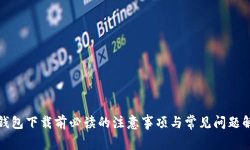 TP钱包下载前必读的注意事项与常见问题解答