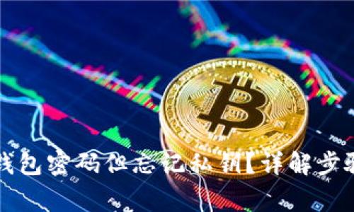 如何找回TP钱包密码但忘记私钥？详解步骤与注意事项