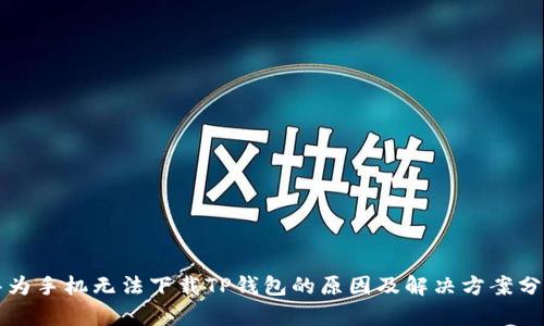 华为手机无法下载TP钱包的原因及解决方案分析