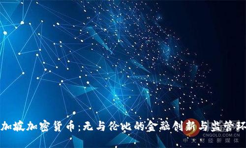 新加坡加密货币：无与伦比的金融创新与监管环境