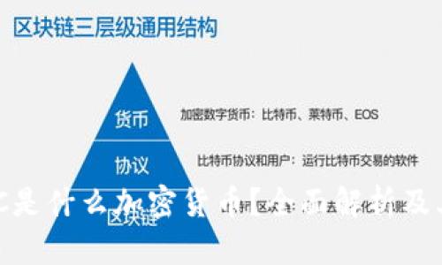 ### SGC是什么加密货币？全面解析及其未来展望