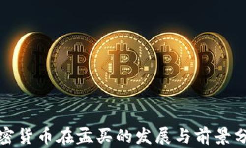 
加密货币在孟买的发展与前景分析