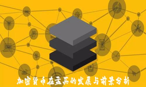 
加密货币在孟买的发展与前景分析