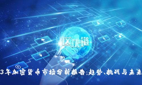 2023年加密货币市场分析报告：趋势、挑战与未来展望