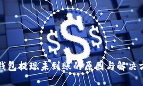 TP钱包提现未到账的原因与解决方案