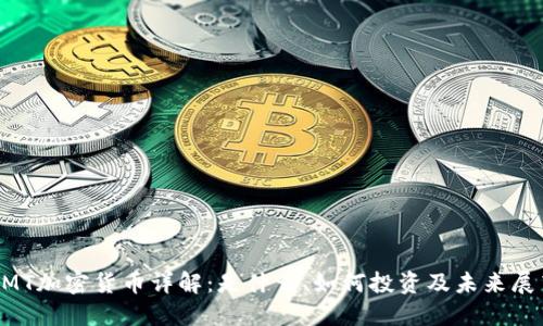 GMT加密货币详解：是什么、如何投资及未来展望
