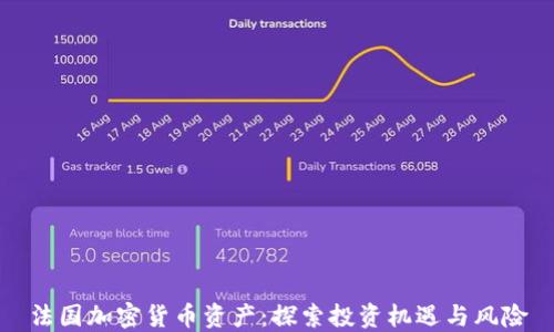 
法国加密货币资产：探索投资机遇与风险