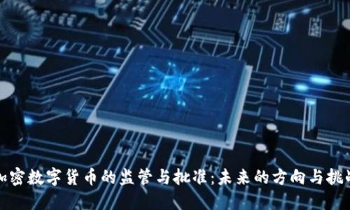 加密数字货币的监管与批准：未来的方向与挑战