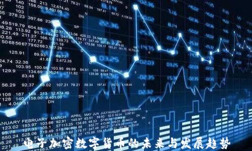 
电子加密数字货币的未来与发展趋势