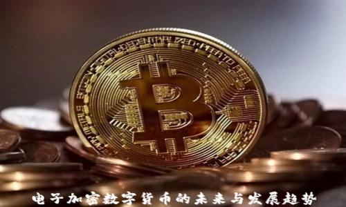 
电子加密数字货币的未来与发展趋势