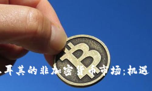 探寻土耳其的非加密货币市场：机遇与挑战