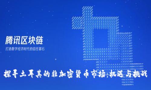 探寻土耳其的非加密货币市场：机遇与挑战