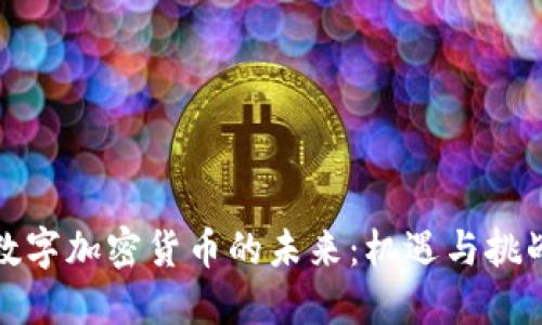 数字加密货币的未来：机遇与挑战