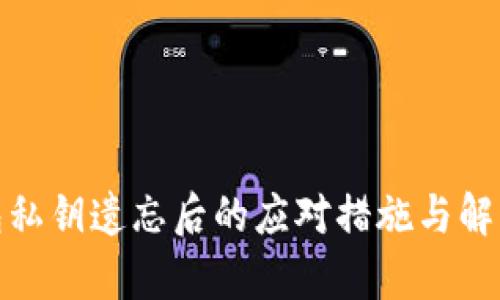 tp钱包私钥遗忘后的应对措施与解决方案