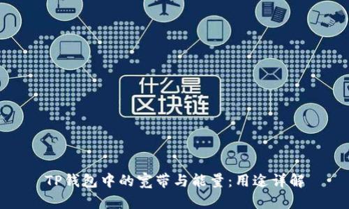 TP钱包中的宽带与能量：用途详解