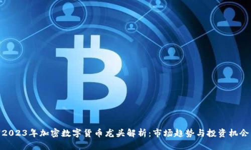 2023年加密数字货币龙头解析：市场趋势与投资机会
