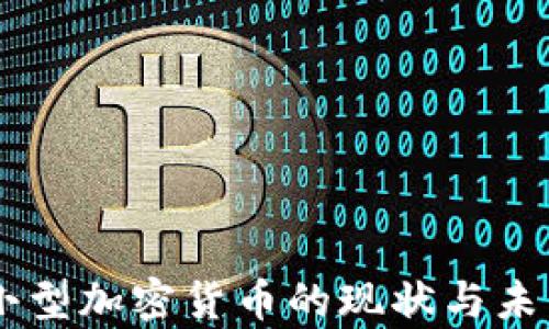 
当前小型加密货币的现状与未来展望