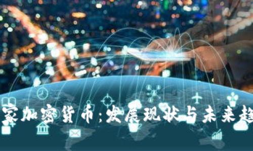 中非国家加密货币：发展现状与未来趋势分析