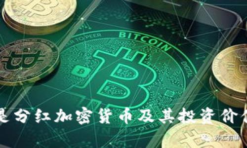 什么是分红加密货币及其投资价值分析