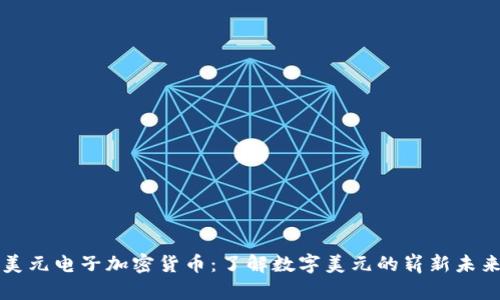 美元电子加密货币：了解数字美元的崭新未来