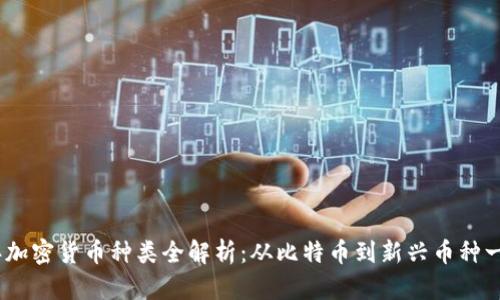 2023年加密货币种类全解析：从比特币到新兴币种一网打尽