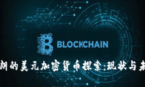 伊朗的美元加密货币探索：现状与未来