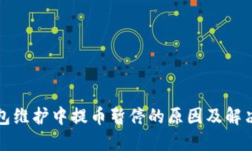 TP钱包维护中提币暂停的原因及解决方案