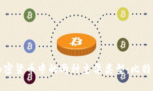 深入了解加密货币中的两种主要类型：比特币与以太坊